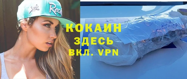 дживик Навашино
