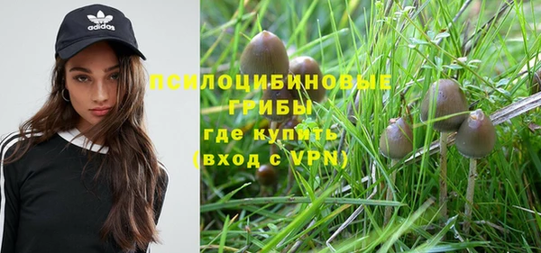 твердый Елабуга