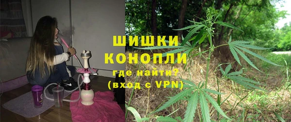 мдпв Елизово