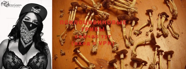 мдпв Елизово